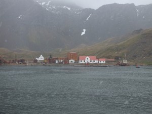 Whaling station, post office, museum and church. The full extent of Grytviken. 